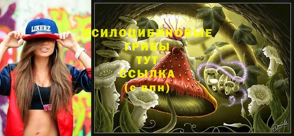 дживик Пестово