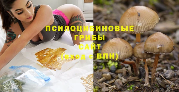 молекула духа Гусь-Хрустальный